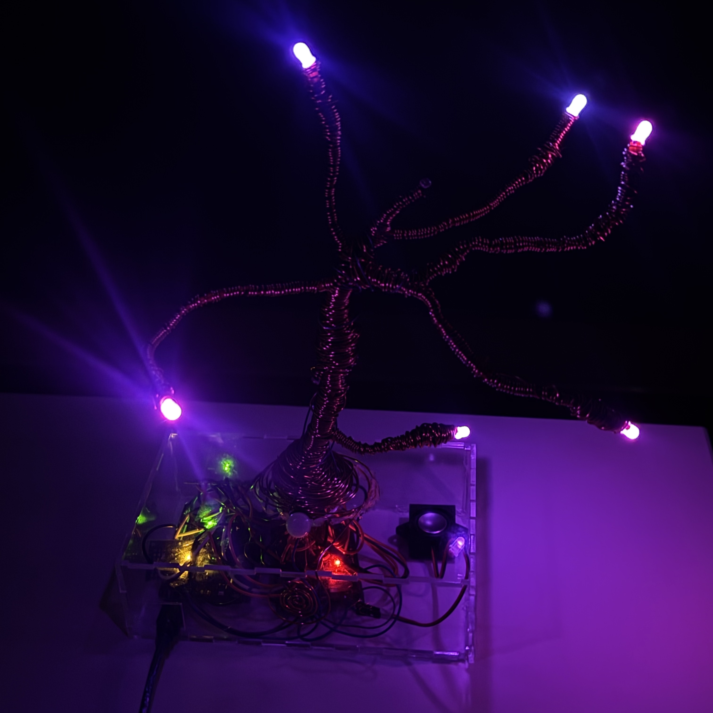 Electrical Roots final product